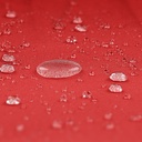 10250103-8.jpg