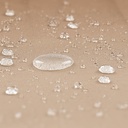 10250531-9.jpg