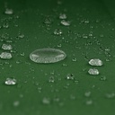 10250533-7.jpg