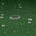 10250538-8.jpg