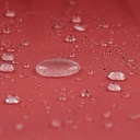 10250539-8.jpg
