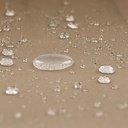 10250548-8.jpg