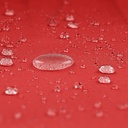 10250555-8.jpg