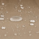 10250557-8.jpg