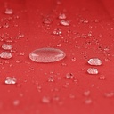 10250561-8.jpg