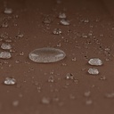 10250572-8.jpg