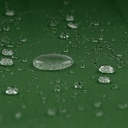 10250586-8.jpg