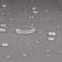 10250549-9.jpg