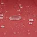 10250570-10.jpg