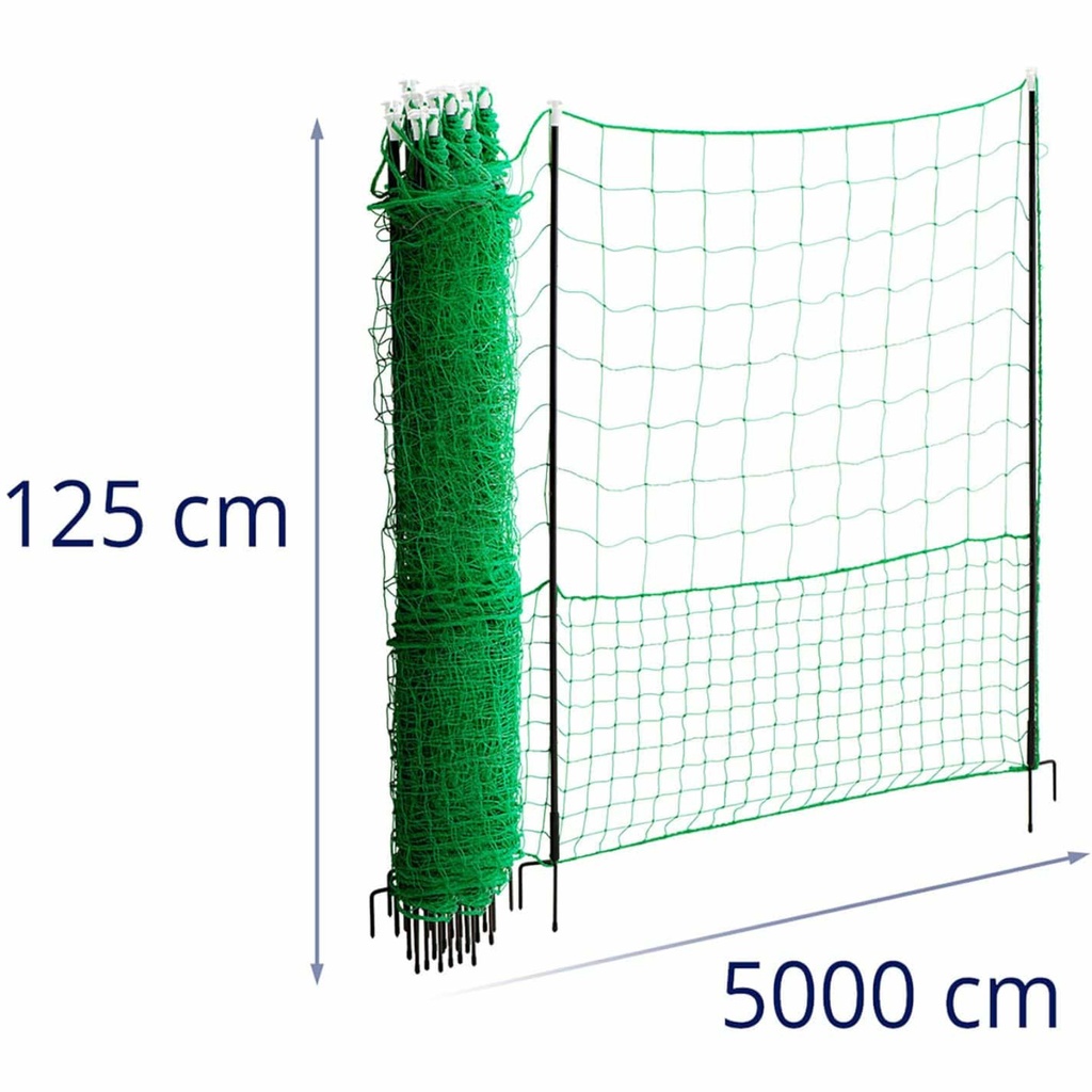 10280302-7.jpg