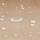 10250529-10.jpg