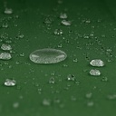 10250542-9.jpg