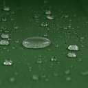 10250571-8.jpg