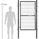 10280429-2.jpg