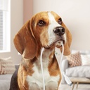 1020668-7-kabel-przewod-do-iphone-mfi-usb-lightning-acefast-hurtownia-sklep.jpg