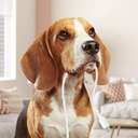 1020671-11-kabel-przewod-usb-c-60w-20v-3a-12m-bial-acefast-hurtownia-sklep.jpg