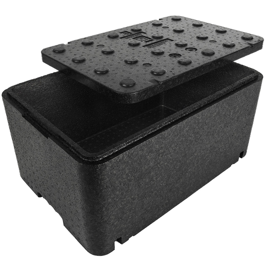 fb-120-po-01-termobox-pudelko-termos-z-pokrywka-do-zywnosci-lekow-600x400x166mm-23l-arpack-hurtownia-sklep-cena-tanio.jpg