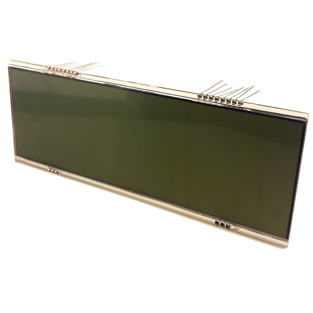 LCD display for Steinberg Systems hook scale