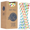 BIO eco-friendly paper straws PAPER STRAWS 6/205mm - mix 250pcs.