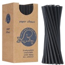 BIO eco-friendly paper straws PAPER STRAWS 6/205mm - black 250pcs.