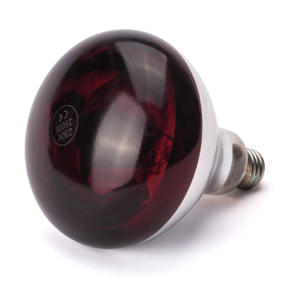 Infrared bulb for food warming lamp E27 250W red