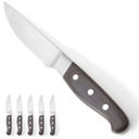 JUMBO steak knife Profi Line - set of 6pcs.