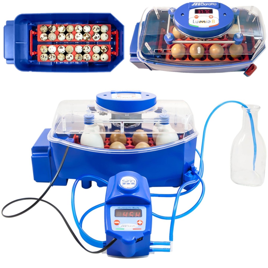 Incubator hatcher for 8 eggs automatic with humidification system professional 50 W.