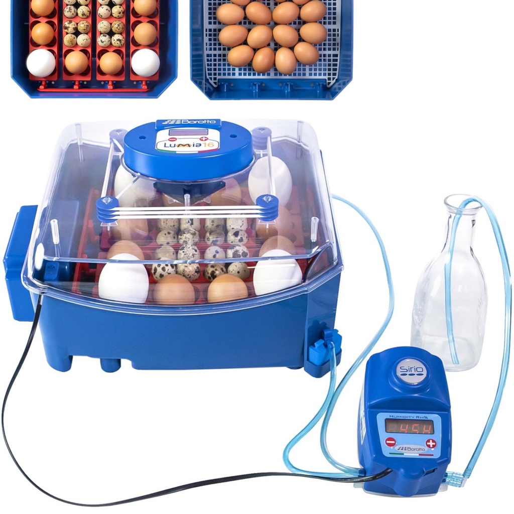 Incubator hatcher for 16 eggs automatic with humidification system professional 60 W.