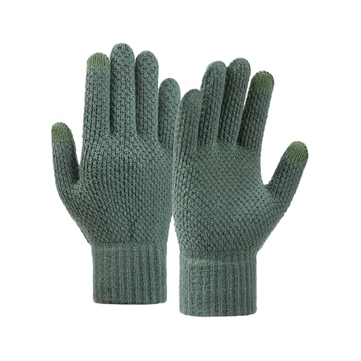 Winter touch gloves for phone 22x11cm unisex green