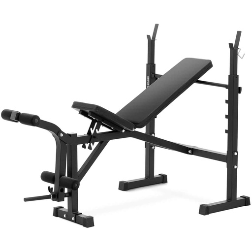 Barbell training bench adjustable up to 100 kg